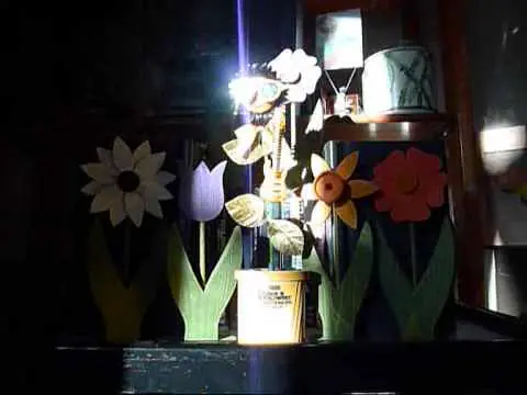 Video thumbnail for Dancing Flower - Campo Afuera - Joe Powers