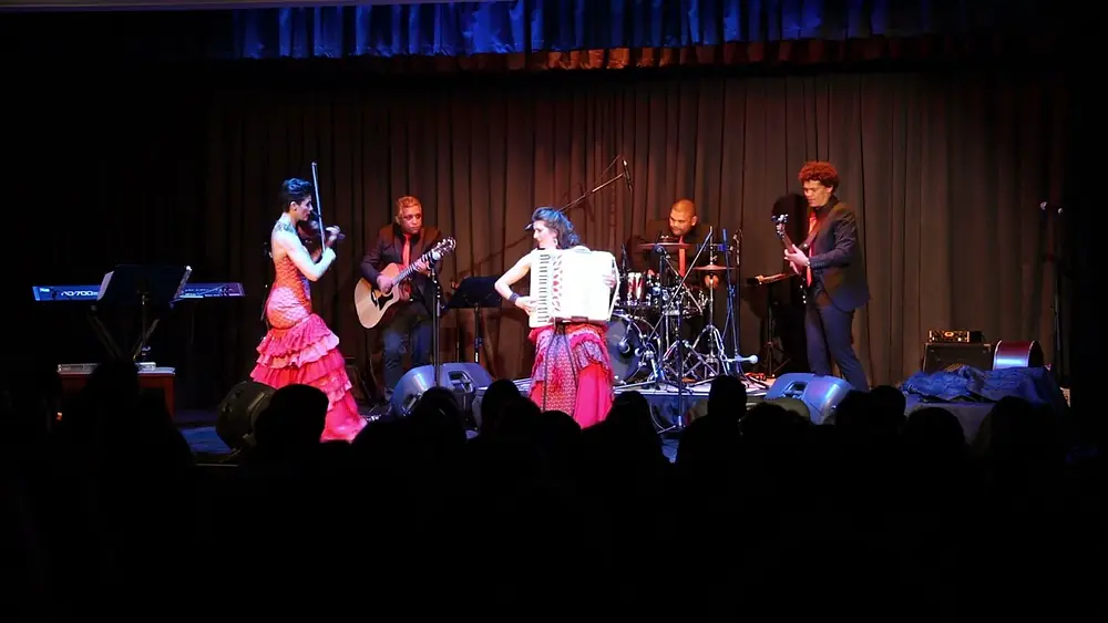 Video thumbnail of Bumble Bee Boogie, based on Rimsky Korsakov's Flight of the Bumble Bee - The Zamar Band