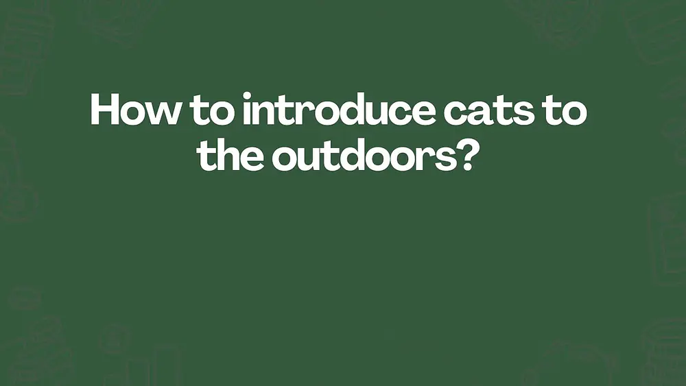 Video thumbnail of How to introduce cats to the outdoors?