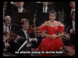 Año Nuevo