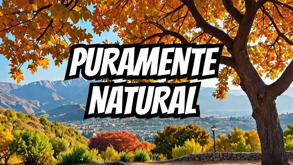 Video thumbnail of ¿Listo para desconectar? La naturaleza tiene un mensaje para ti