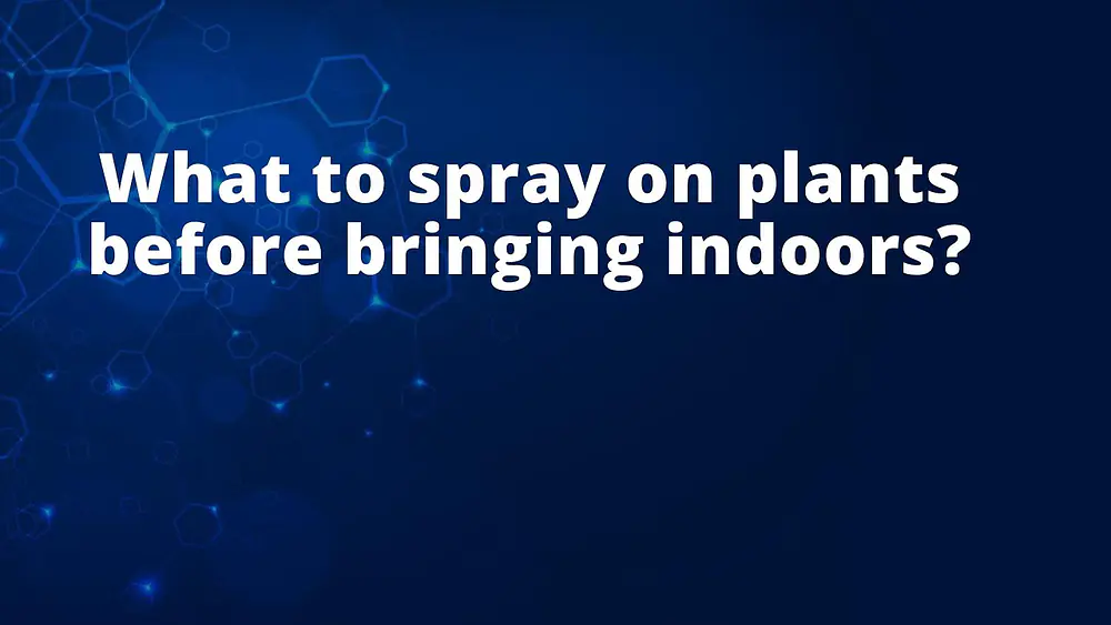 Video thumbnail of What to spray on plants before bringing indoors?