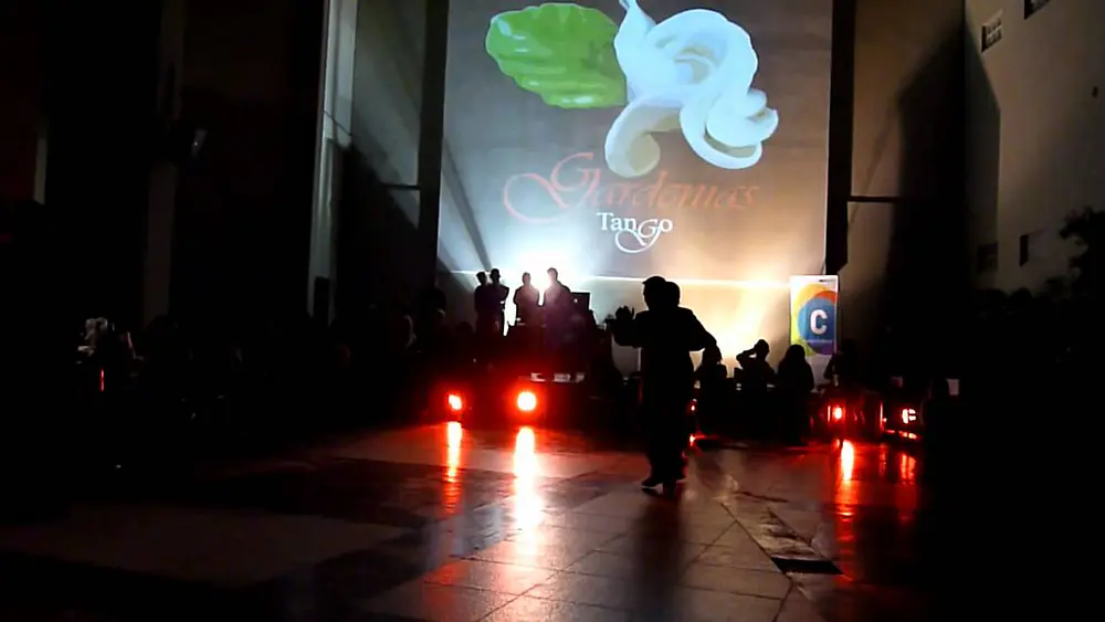 Video thumbnail for La Milonga del Patio presenta a Silvia y Alfredo Alonso - Mentías -D`arienzo