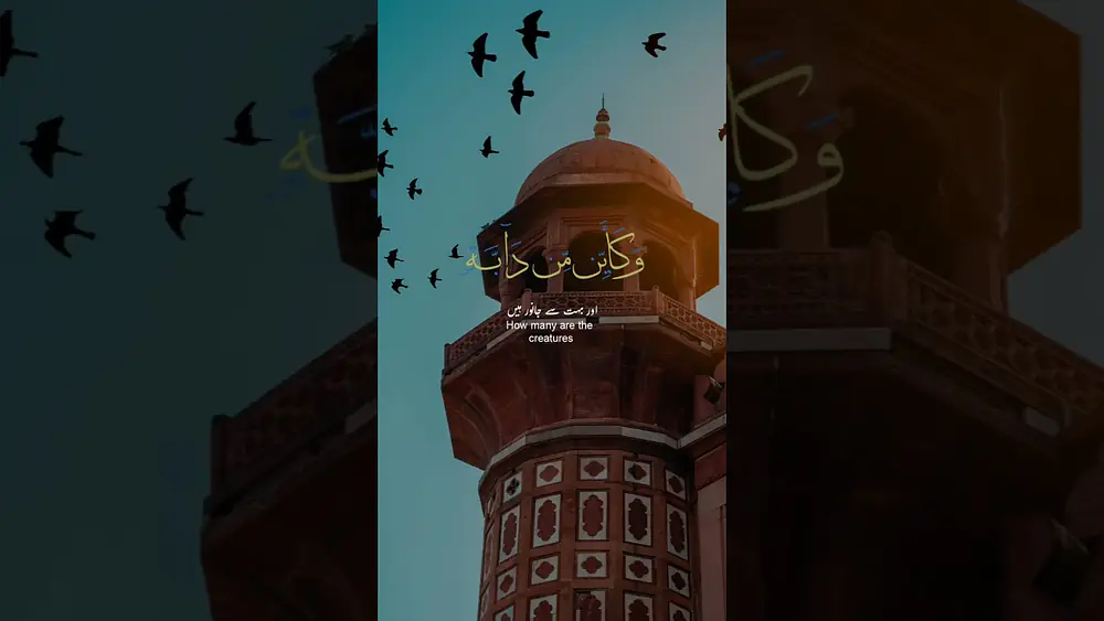 Video thumbnail of اللہ پر بھروسہ رکھو | تلاوت کے ساتھ سکون بھرا پیغام Recitation #Sabr #TrustInAllah #Mosque #
