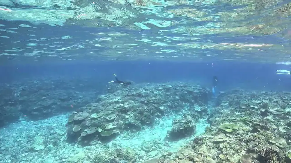 Video thumbnail of GX010115
