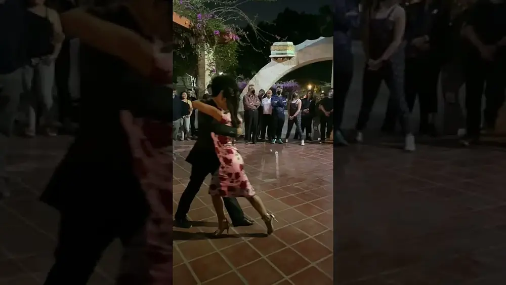 Video thumbnail for Gaby Mataloni & Vinicius Souza - Milonga del Parque México 2022 3/3