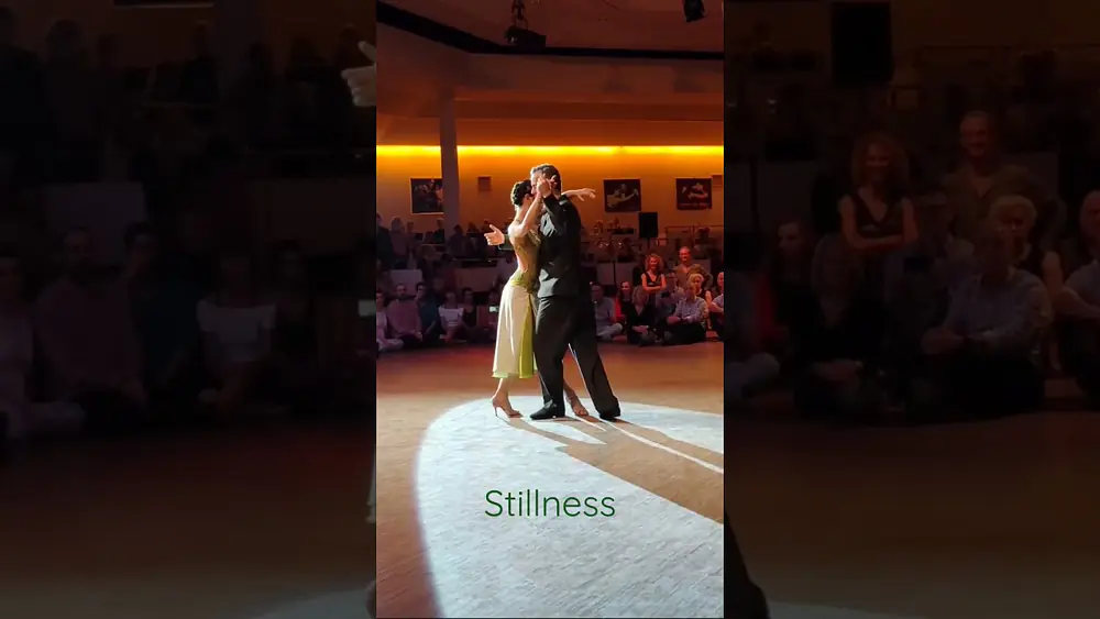 Video thumbnail for Stillness: with Silvina Tse and Murat Erdemsel