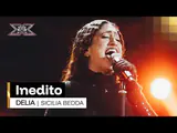 ÚLTIMA TRADITIONAL Apr