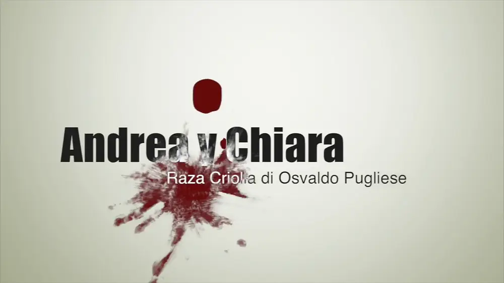 Video thumbnail for Andrea Vighi y Chiara Benati - Raza Criolla di Osvaldo Pugliese [3 di 4]