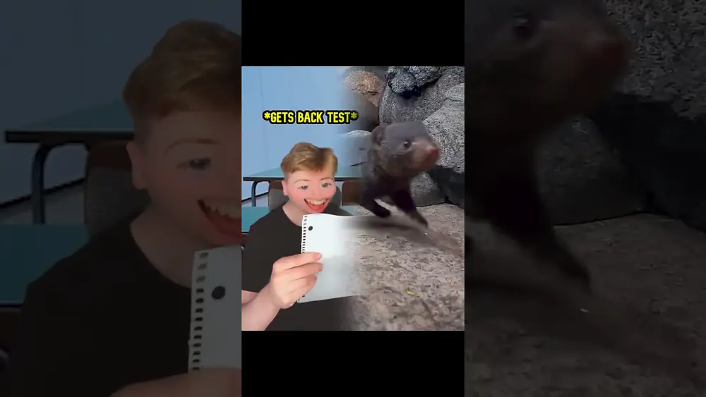 Video thumbnail of Thank you for loving my videos
