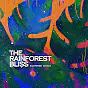 Channel thumbnail of Rainforest Sounds - Topic