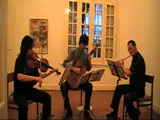 Flauta Viola