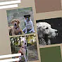 Channel thumbnail of Dog Music - Topic
