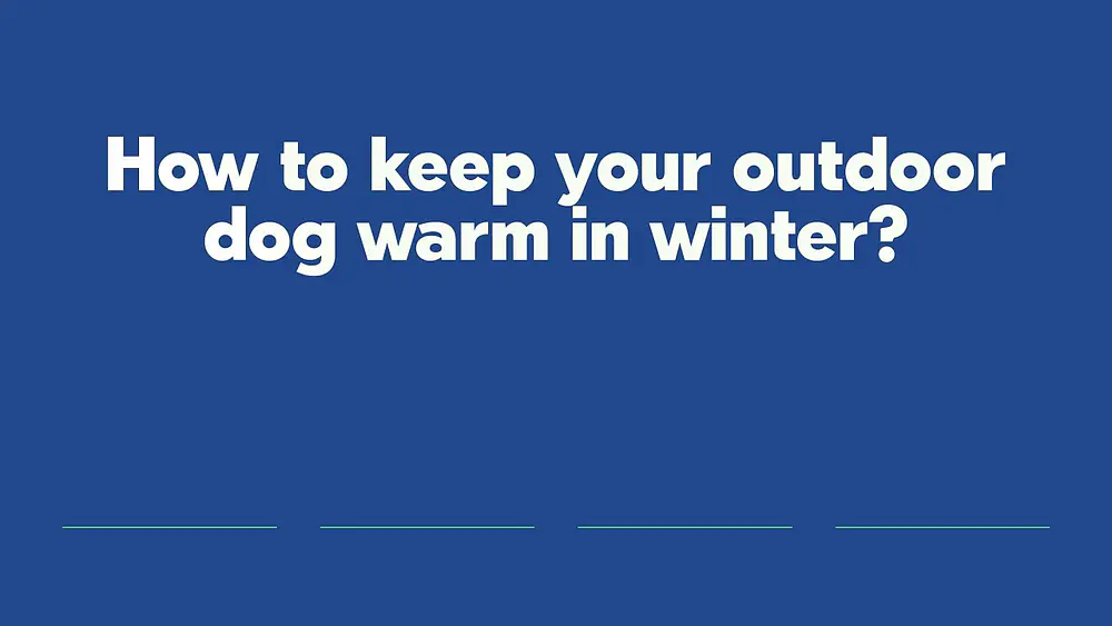 Video thumbnail of How to keep your outdoor dog warm in winter?