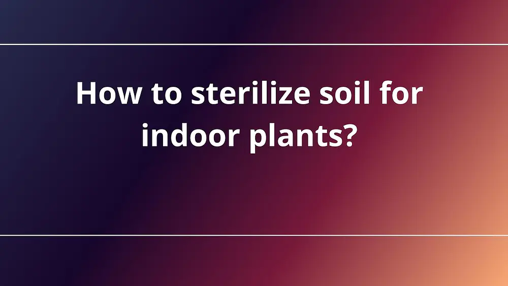 Video thumbnail of How to sterilize soil for indoor plants?