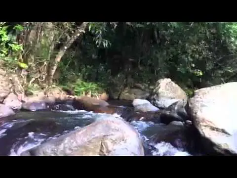 Video thumbnail for Rosa Pérez - En El Yunque , Luquillo PR