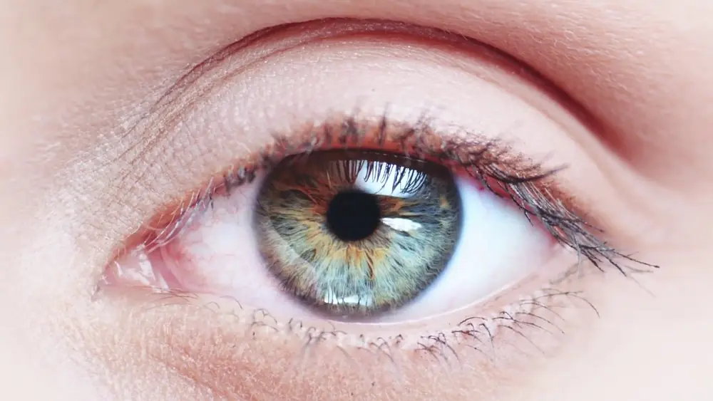 Video thumbnail for Trailer OsterTango 2017 Lionel Wirz