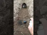 strong position