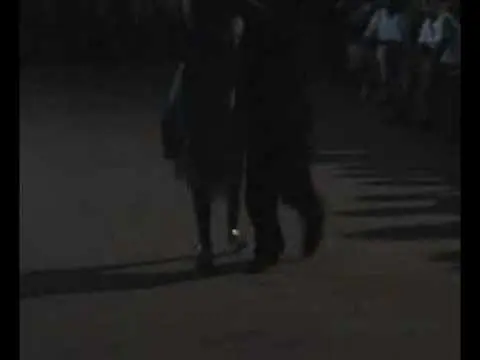 Video thumbnail for Corfu 2008_Sebastian Achaval & Roxana Suarez (3)