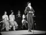 pure flamenco