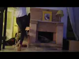 her crazy legs