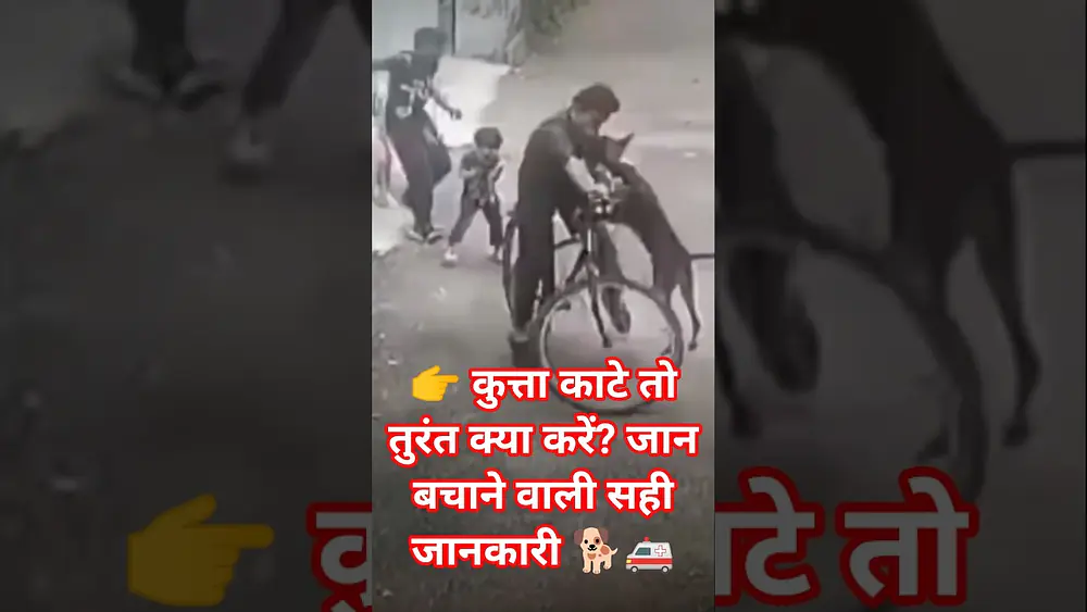 Video thumbnail of 👉 कुत्ता काटे तो क्या करें | जान बचाने वाली सही जानकारी 🐕🚑#DogBite #RabiesVaccine#HealthTips#spinal