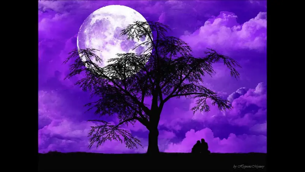 Video thumbnail for Jose Bohr - "Violetita"